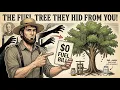 The Amish Tree That Could Replace Your Fuel Bill Forever