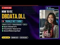 dbdata dll Not Found Fix Game Load Errors