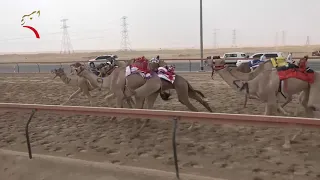 سباق اللقايا سيف العرب 19 10 2018 ش23 مفدع لـ خلفان بخيت فطيس المنصوري 6 13 