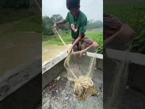 #fishing #fish