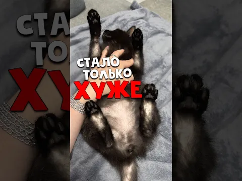 Ребята, это уже не шутки! Нам нужен ваш совет!