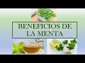 Download Lagu BENEFICIOS DE LA MENTA