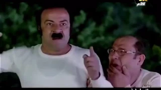 كتكوت ابوالليل  كتكوت ابوالليل