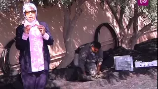 امل القيمري تتحدث عن موسم قطف الزيتون 