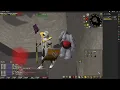 Rift Guardian pet 15 184 358 xp