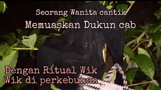 Download Seorang Wanita cantik memuaskan Dukun dengan ritual wik wik di perkebunan MP3