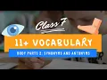 11 VOCABULARY LESSON - SYNONYMS AND ANTONYMS