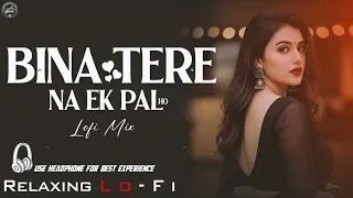 bina tere na ek pal ho slowed reverb relaxing lo fi romantic bollywood lofi mix 