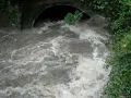 June 11, 2012 Rain swollen Rocky Creek Watershed Columbia South Carolina 1st Video