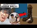 Lagu Setiap PRO BUILDER Ini Berhasil Tebak BUILD, Aku Beliin Di Dunia Nyata ..
