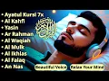 Lagu Alaa Aqel's Melodious Voice: Murottal Al-Qur'an die het hart heeft aangeraakt