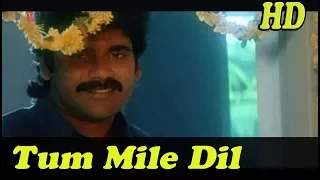 tum mile dil khile hd with dj jhankar hd criminal kumar sanu alka yagnik