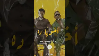 أخويا أحمد سعد و عمرو سعد 