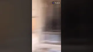 ياقطر الفرح خدني معاك     دندنها