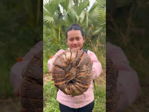 Survival Skills: I Lost My Bottle Cap… So I Used This Instead! 😱🌴 #outdoors #campping #nature