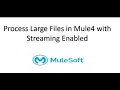Mule-4 Process Large files using mule 4 with streaming enabled