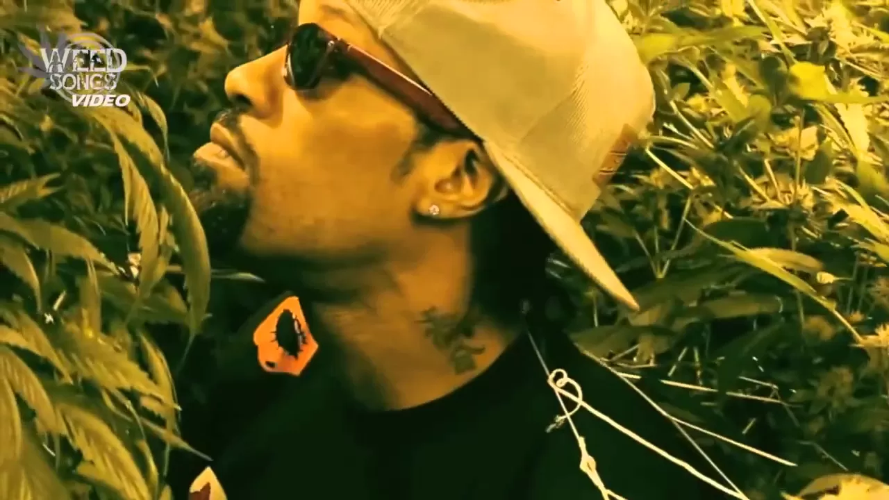 Weed Songs: Redman ft. Ready Roc - Sour Deezal