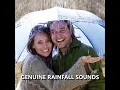 Striking Dawn Rain Sounds