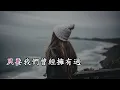 萍聚(李翊君 李富興版本)(國語合唱版)(歌手演唱版)