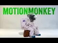 MotionMonkey for After Effects