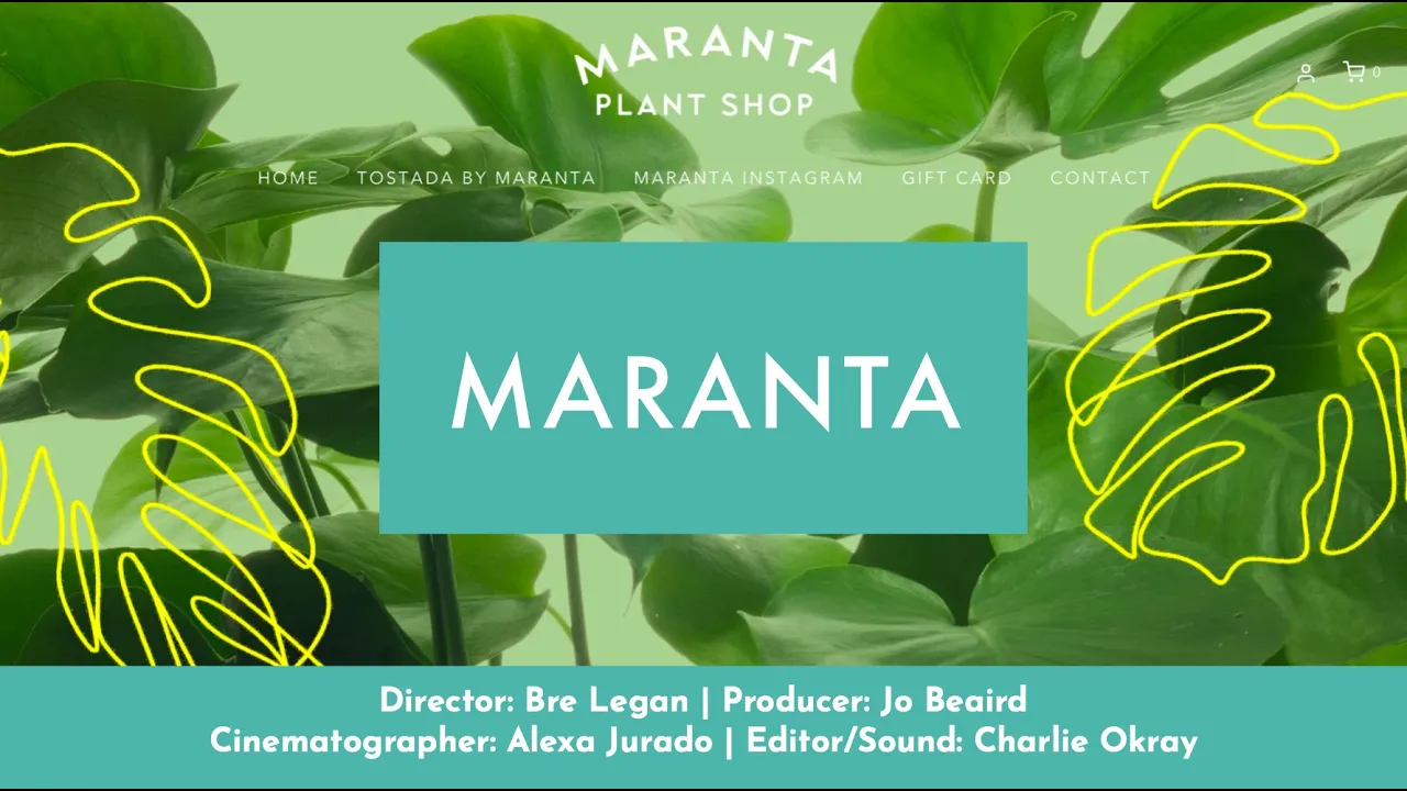Maranta Plant Shop