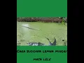 Lagu Cara budidaya lemna minor dikolam tanah langsung, makanan alami ikan