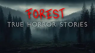 3 Unnerving Forest Hiking & Camping Horror Stories
