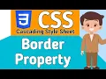 Border Property in CSS Different Border Styles in CSS Complete CSS Course in Hindi