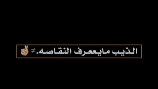 تصميم شاشه سوداء اغنيه الذيب لا ماينحي راسه الفنان محمد البصيلي      دندنها