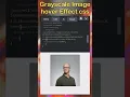 Grayscale image hover effect in CSS CSS Daily Tips