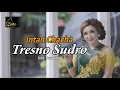 Download Lagu Intan Chacha - Tresno Sudro (Official Music Video)