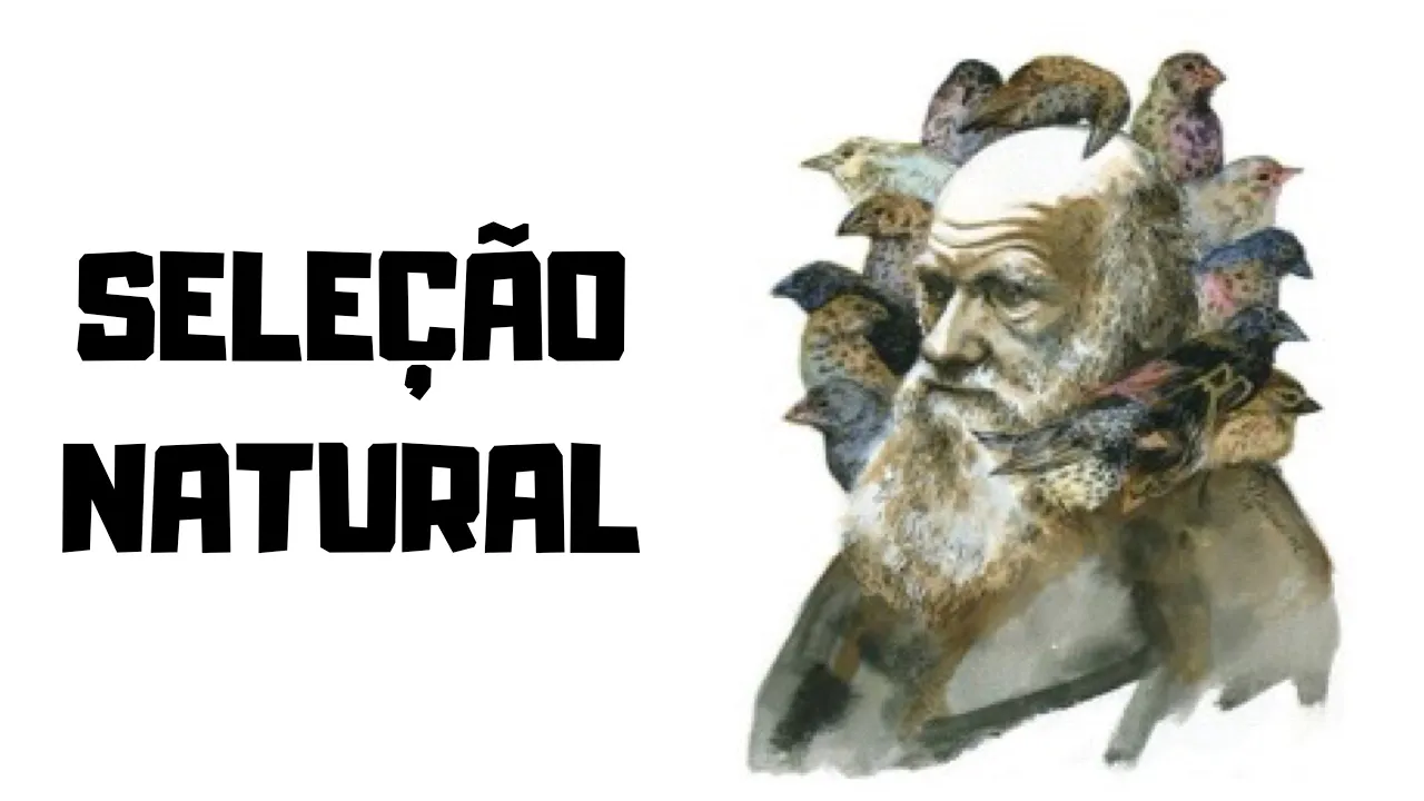 Seleção Natural e Evoluçãol! Ecologia evolutiva: o que é e quais as 5 proposições?