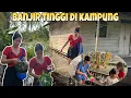 Download Lagu BANJIR TINGGI,SEMUA TANAMAN YANG AKU TANAM LAYU SEMUA😭