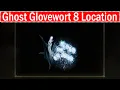 Elden Ring How To Get Ghost Glovewort 8