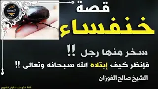 قصة الخنفساء للشيخ صالح الفوزان حفظه الله 