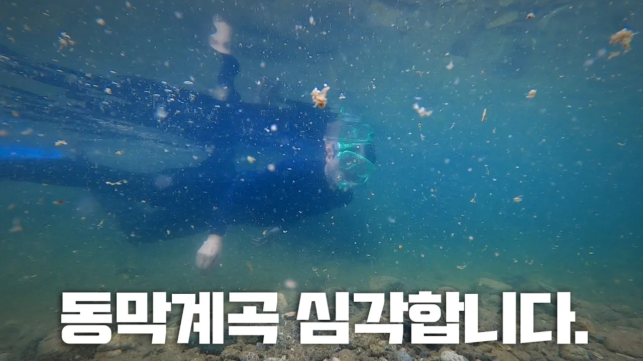 '오염된 청정계곡' 연천 동막계곡 심각합니다!! サムネイル