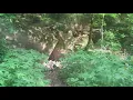 Meads Quarry at Ijams Nature Center - Knoxville TN