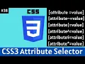 Learn to Use CSS Advance Attribute Selector Part 38 Full Guide Here programmer shakil