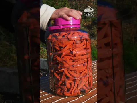 शकरकंद का ऐसा चिप्स कभी खाया है? 😋🍠| Village Style Sweet Potato Chips #shorts