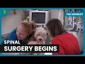 Download Lagu Bionic Vet Tackles Spinal Nerve Pain in Dog | The Supervet | Documentary