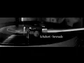 Schubert - Serenade - AlexandRe Tabidze