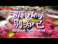 Download Lagu Bie zhi ji  Teks dan Terjemahan (Berpisah Teman Akrab)