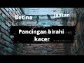 Download Lagu kacer jantan santai merayu betina cocok untuk pancingan kacer kurang birahi