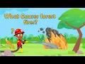 What Causes forest fires for kids - What is a forest fire for kids