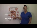 Colon Hydrotherapy LIBBE