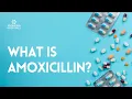 What is Amoxicillin