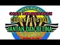 Download Lagu Tips / cara membedakan burung cucak jenggot jantan dan betina