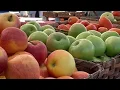 City of Springfield looks into starting new program to reduce food waste