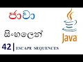 Java Sinhala Tutorial 42 - Escape Sequences in Java