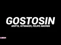 Lagu Anitta, Hitmaker, Felipe Amorim - GOSTOSIN (Letra)